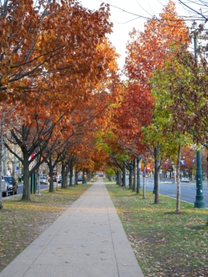 Fall Season